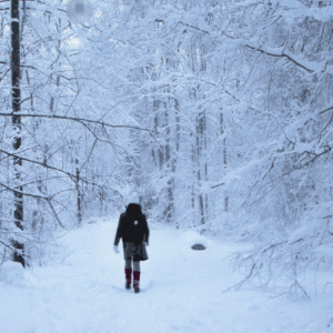 outdoor winter therapy walk