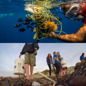 plastic in the ocean