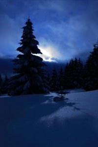 winter_moonlight_web
